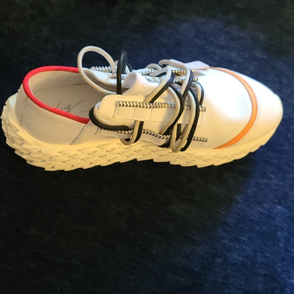 Giuseppe Zanotti